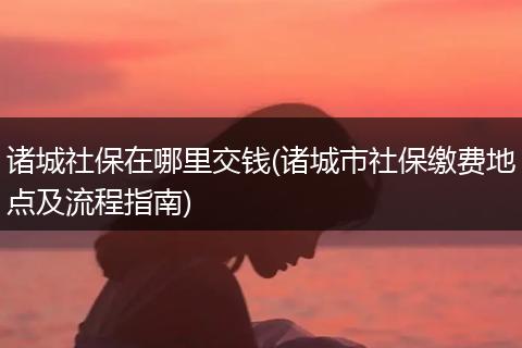诸城社保在哪里交钱(诸城市社保缴费地点及流程指南)
