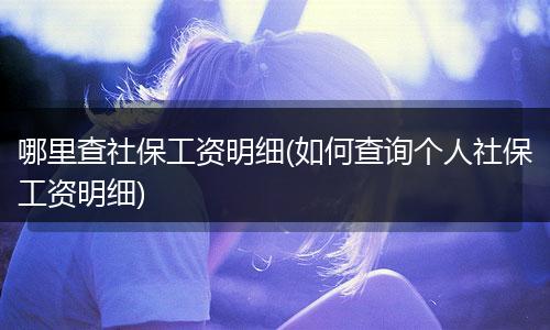 哪里查社保工资明细(如何查询个人社保工资明细)