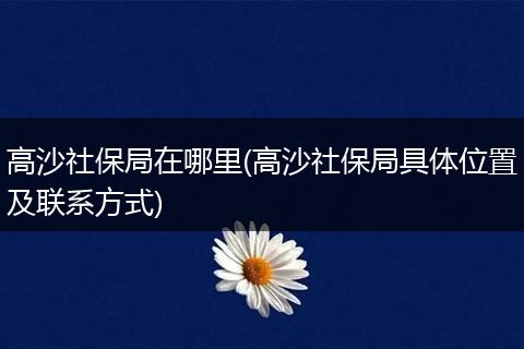 高沙社保局在哪里(高沙社保局具体位置及联系方式)
