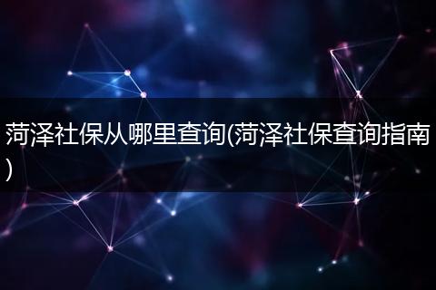 菏泽社保从哪里查询(菏泽社保查询指南)
