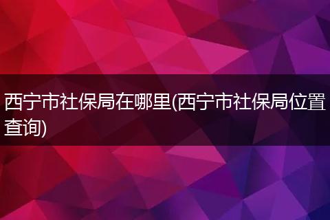 西宁市社保局在哪里(西宁市社保局位置查询)