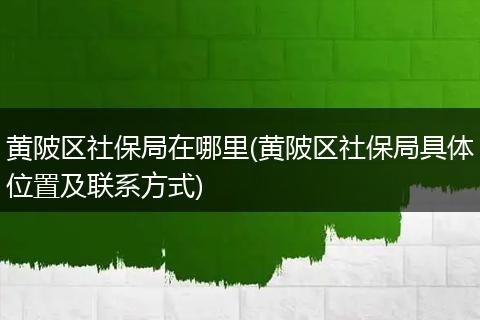 黄陂区社保局在哪里(黄陂区社保局具体位置及联系方式)
