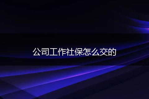 公司工作社保怎么交的