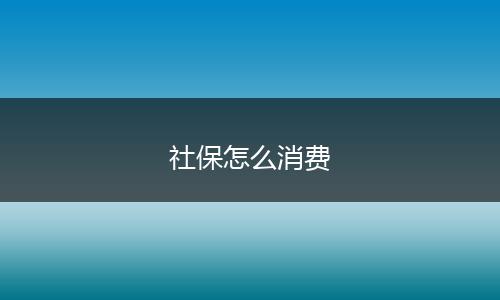 社保怎么消费