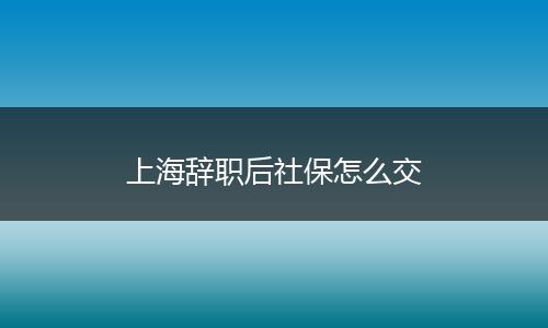 上海辞职后社保怎么交