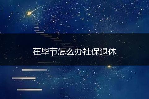在毕节怎么办社保退休
