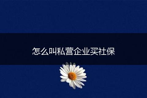 怎么叫私营企业买社保