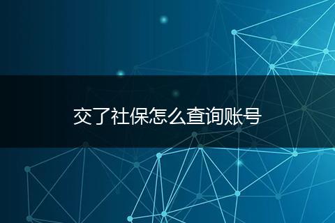 交了社保怎么查询账号