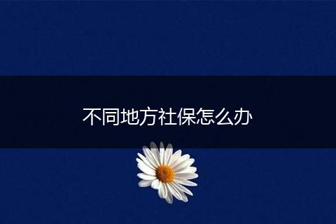 不同地方社保怎么办