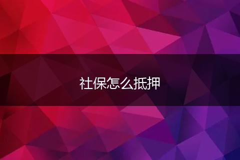 社保怎么抵押