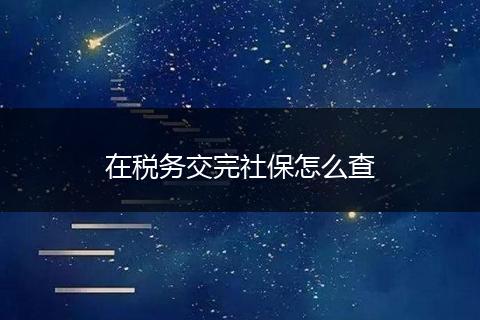 在税务交完社保怎么查