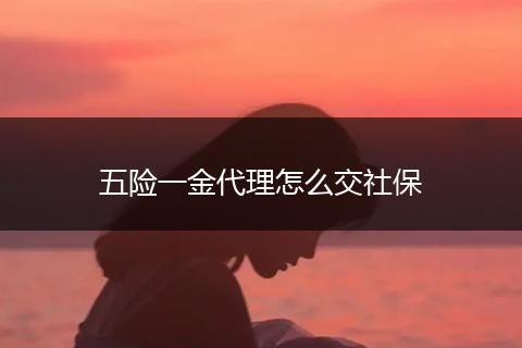 五险一金代理怎么交社保