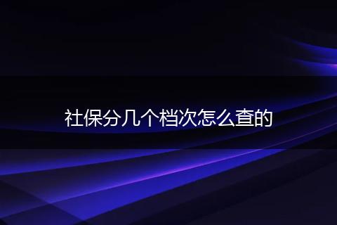 社保分几个档次怎么查的