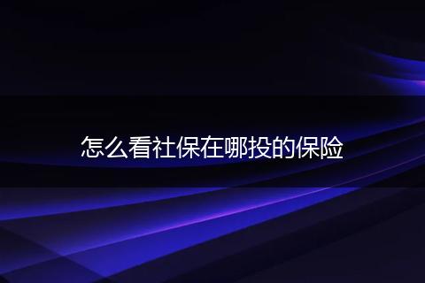 怎么看社保在哪投的保险