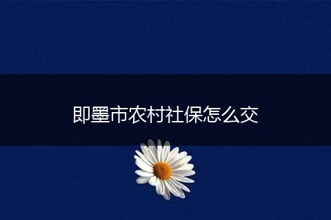 即墨市农村社保怎么交
