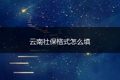 云南社保格式怎么填