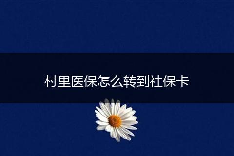 村里医保怎么转到社保卡