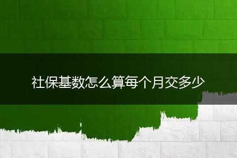 社保基数怎么算每个月交多少
