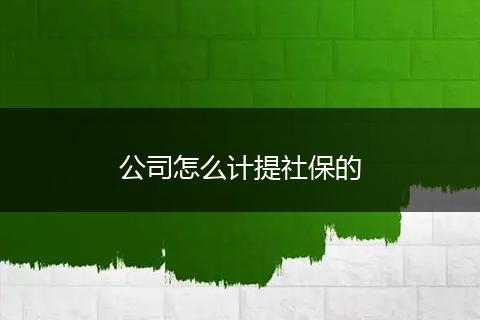 公司怎么计提社保的
