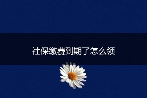 社保缴费到期了怎么领
