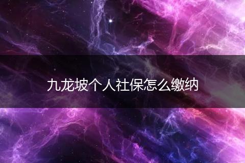 九龙坡个人社保怎么缴纳