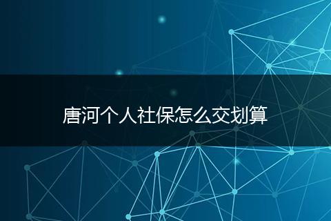 唐河个人社保怎么交划算