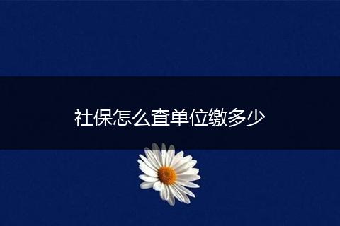 社保怎么查单位缴多少