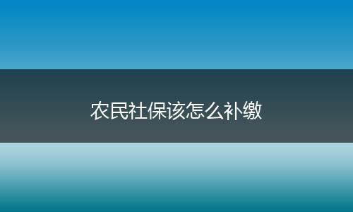 农民社保该怎么补缴
