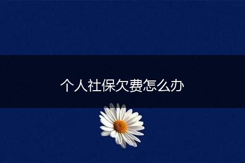 个人社保欠费怎么办