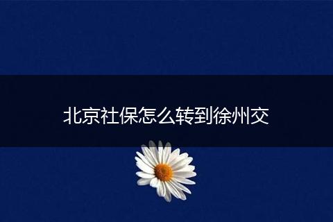 北京社保怎么转到徐州交