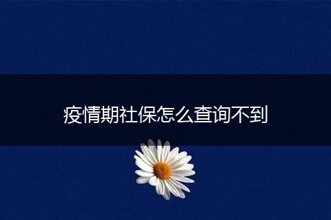 疫情期社保怎么查询不到