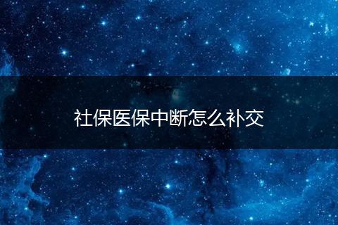 社保医保中断怎么补交
