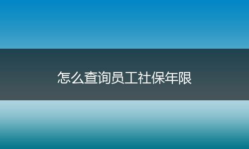 怎么查询员工社保年限