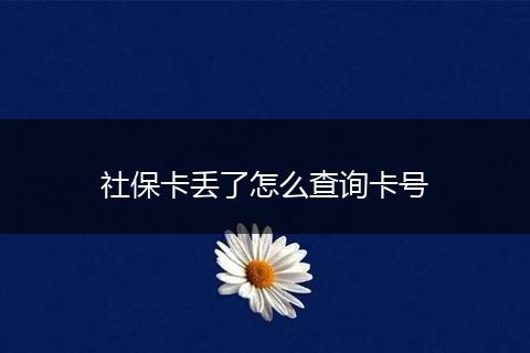 社保卡丢了怎么查询卡号