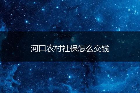 河口农村社保怎么交钱