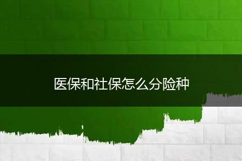 医保和社保怎么分险种