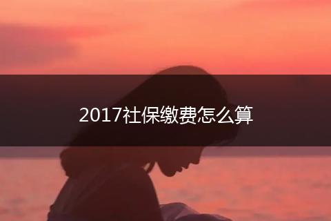 2017社保缴费怎么算