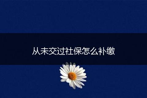 从未交过社保怎么补缴