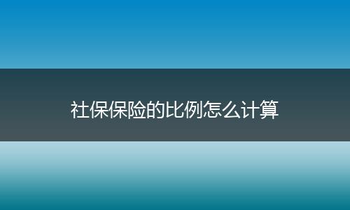 社保保险的比例怎么计算