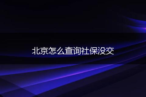 北京怎么查询社保没交
