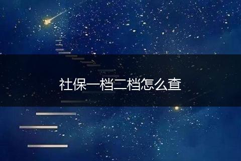 社保一档二档怎么查