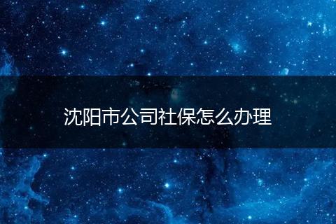 沈阳市公司社保怎么办理