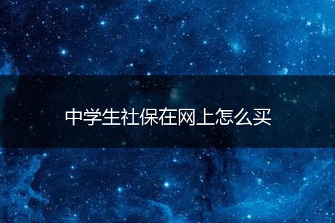 中学生社保在网上怎么买