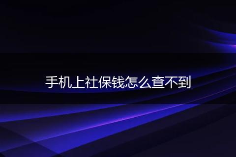 手机上社保钱怎么查不到