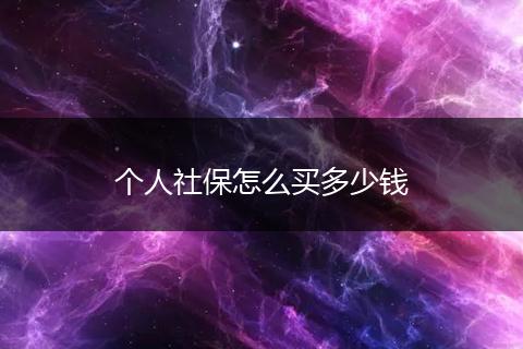 个人社保怎么买多少钱