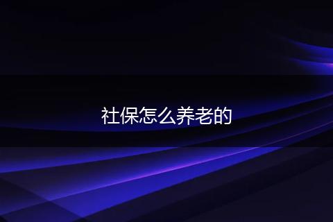 社保怎么养老的