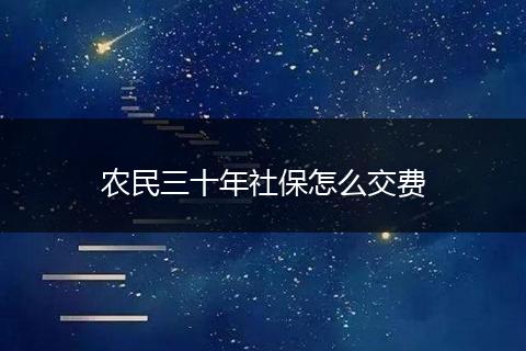 农民三十年社保怎么交费