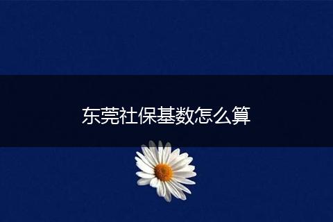 东莞社保基数怎么算