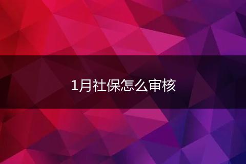 1月社保怎么审核