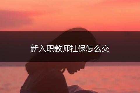 新入职教师社保怎么交